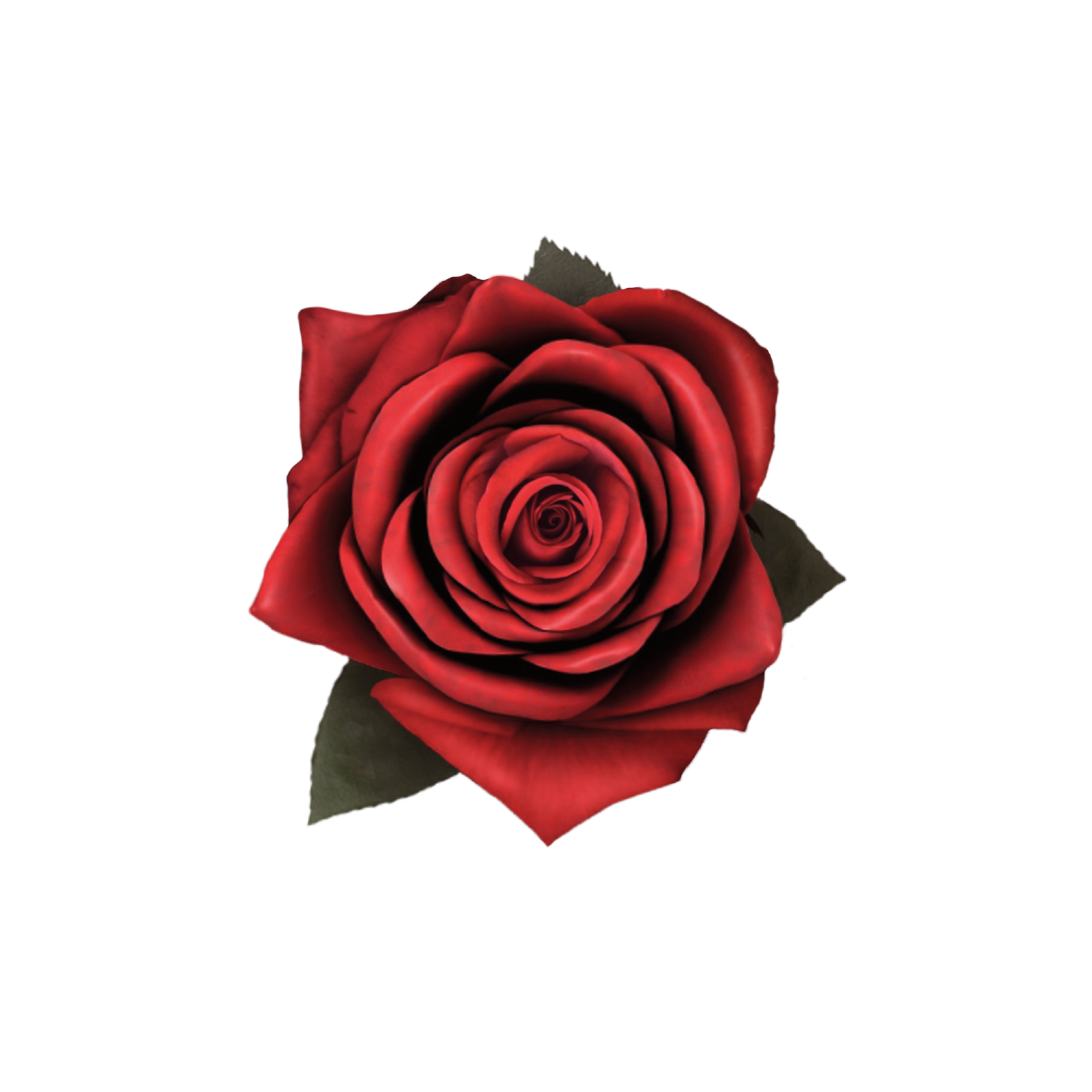 ROSSET MARKETING